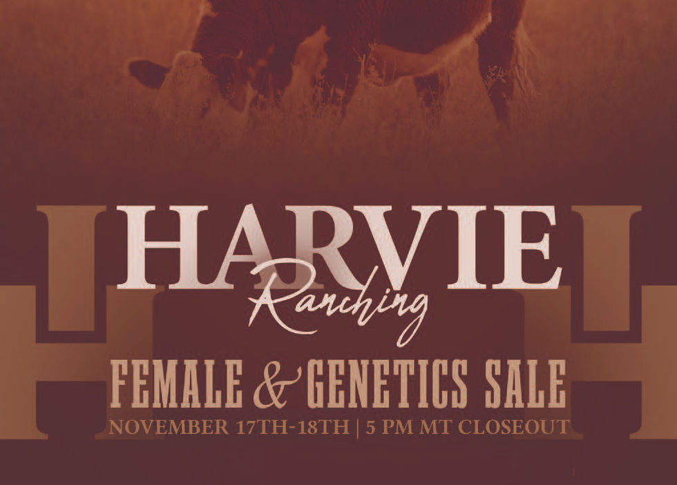 HarvieRanching_FemaleSale_2025 (1)_Page_01.jpg