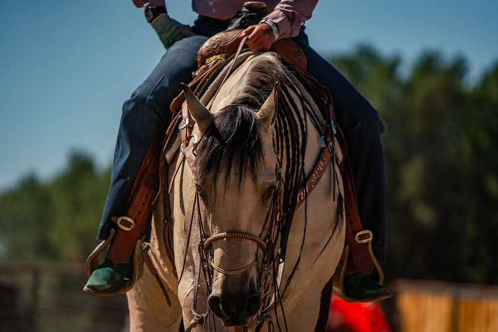 kylie 9-21-25 roping-14.jpg