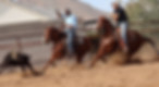 thumbnail_IMG_6110.jpg