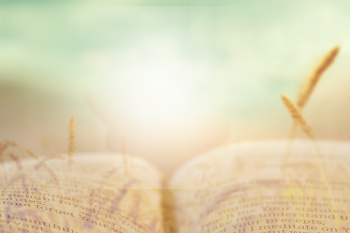 bible over field.png