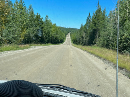 Washboards and bears