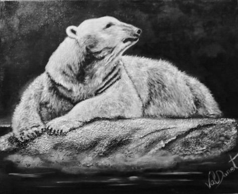 Ours Polaire sur glace
Polar Bear on ice 