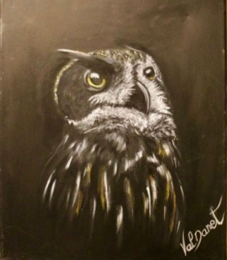 Grand Duc D'Europe 
Great Horned Owl