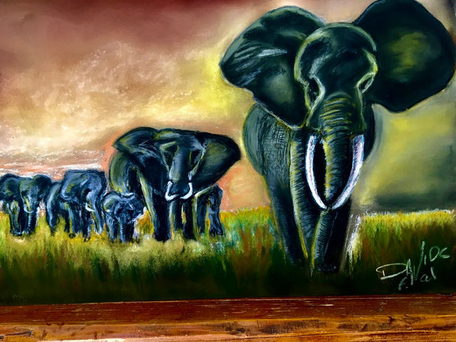 Troupeau d elephants Kenyans
Pack of Kenyan elephants 