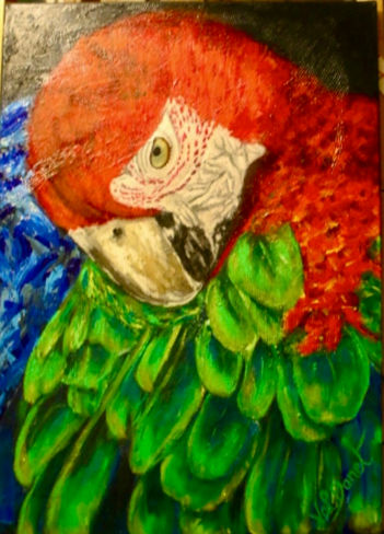 Oiseau tropical 