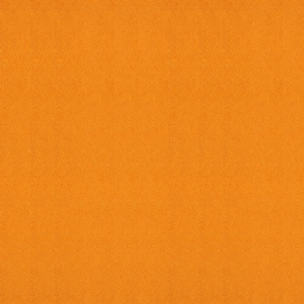 MnM backgrounf website.png