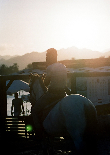 A silhouetted person rides a white horse along a beach at sunset. The person, facing away, wears dark clothing.