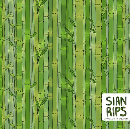 Bamboo Pattern