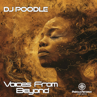 Produced & Arranged by Dj Poodle
Mastering by Mr. Eclectic @Pasqua Records Studio, Maryland
Copyright: Pasqua Records
Publishing: Pasqua Records Group
Executive Producer: Maurice Easter
A&R: Tina Ardor
www.pasquarecords.com