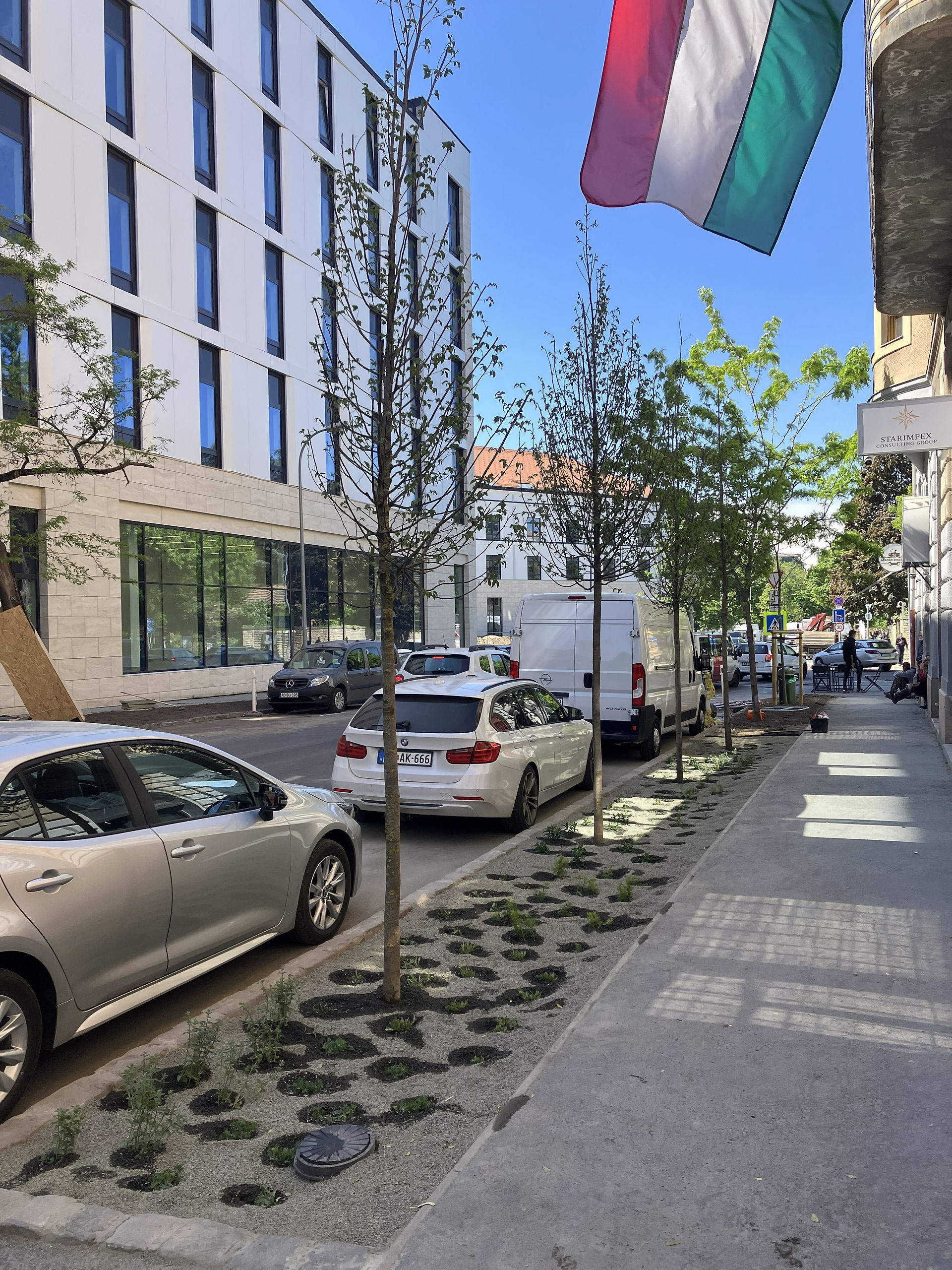 Rainmax biodiverz évelőágyás faültetés SFR rendszerben a megújult Korányi Sándor utca zöldsávjában – Szivacsváros szemléletű utcafelújítás Józsefvárosban, Gardenfutura kivitelezésben.