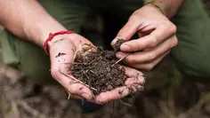 Kézben tartott morzsalékos, szervesanyagban gazdag talaj közelről
