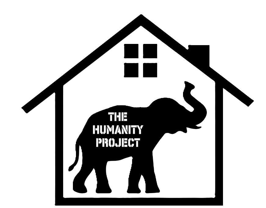 THP Plain Test_edited.png