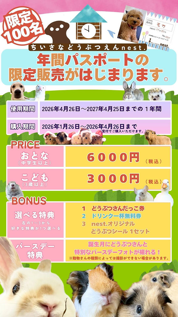 うさぎ様( ᐢ. ̫ .ᐢ )確認画面 うさぎ様( ᐢ. ̫ .ᐢ )確認画面
