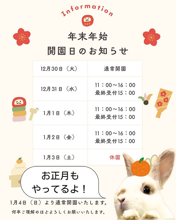 うさぎ様( ᐢ. ̫ .ᐢ )確認画面 うさぎ様( ᐢ. ̫ .ᐢ )確認画面 うさぎ様( ᐢ. ̫ .ᐢ )確認画面