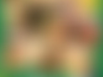 \🎄 クリスマス撮影会のお知らせ 🎄/( ᐢ. ̫ .ᐢ )