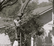 animated001.gif