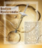 Caratfill HA Booster JY Solution