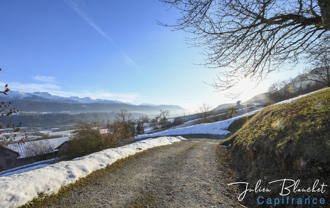 DSC_2548 copie 2.jpg