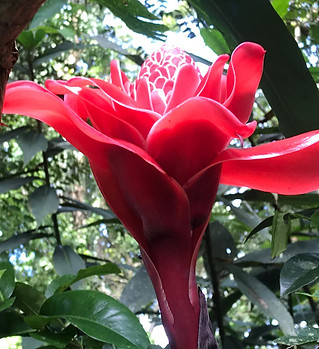 image5.jpeg