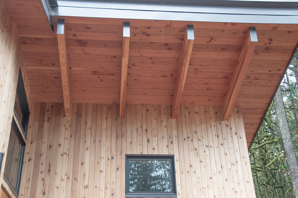 Cabin Exterior