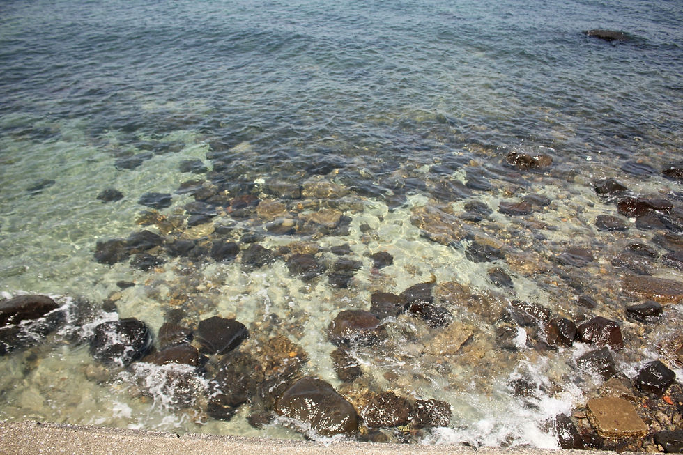 綺麗な海
