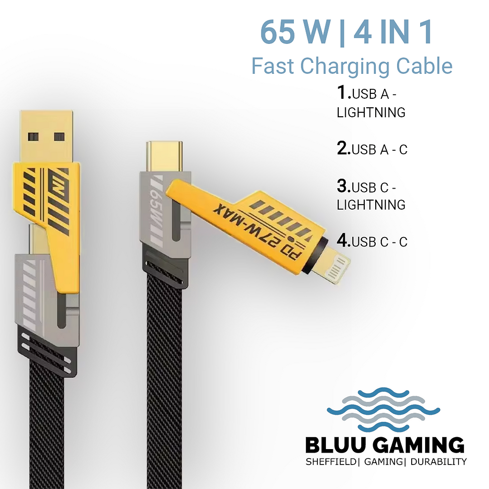 4 in 1 Fast Charging Cable (2M)