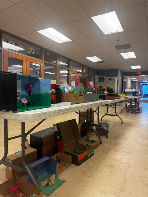 2nd Grade Insect day (habitats)