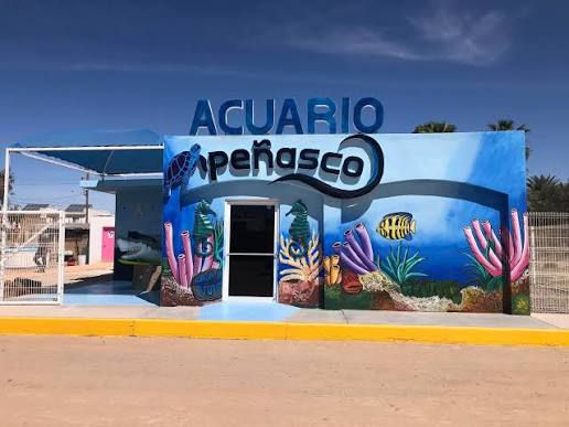 acuario.jpeg