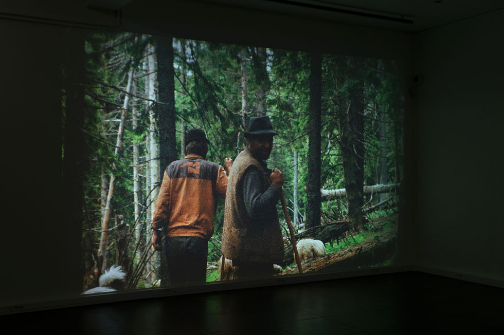 contreunbattementdecils_FDW_EugénieTouzé_01