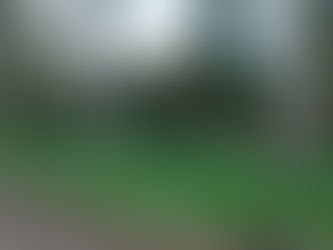 Sunday 22nd February 2026 - Future of The Belfry and Suitable Window