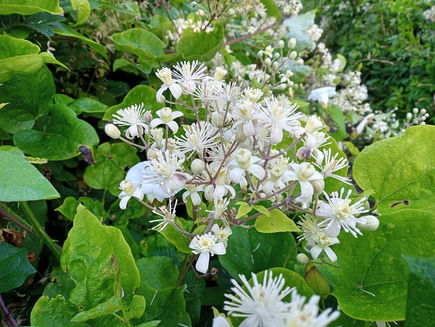 Saturday 7th August 2021 - Simply Overstrand