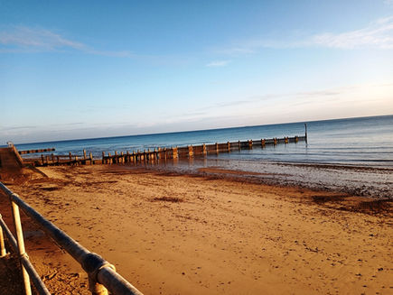 Sunday 15th August 2021 - Green Beans in Olive Oil