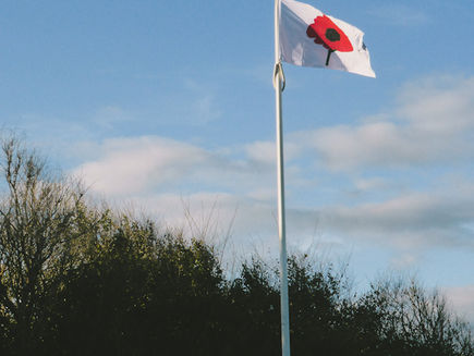 Friday 11th November 2022 - She's Back, Quince Jam and Armistice Day