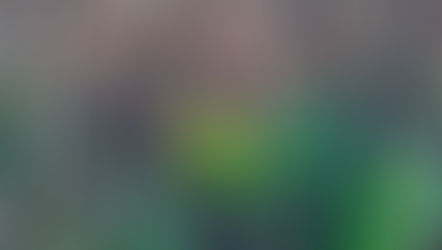 Saturday 7th March 2026 - Spring Days