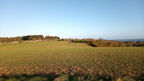 Thursday 16th April 2026 - Picky and Cutting Back