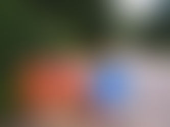 Wednesday 9th August 2023 - About Wildlife, Strand Club and New Pavement