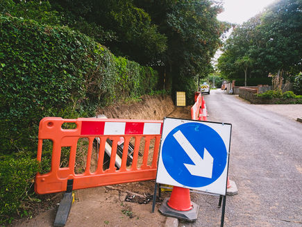 Wednesday 9th August 2023 - About Wildlife, Strand Club and New Pavement