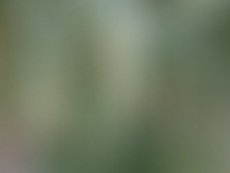 Tuesday 13th January 2026 - When Things Go Wrong - In Threes