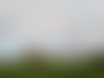 Tuesday 29th August 2023 - Hedgehogs, End of the Rainbow and Work in Progress