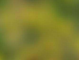 Wednesday 27th May 2020 - Where Are They?