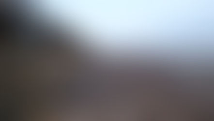 Tuesday 10th February 2026 - Dull, Wintry Mistiness, Sorting, Drawing and Washed Up