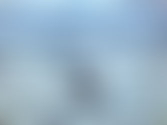 Saturday 24th October 2020 - Rainy Wednesday and Gulls