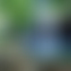 Sing Sing Angin Waterfall Bali