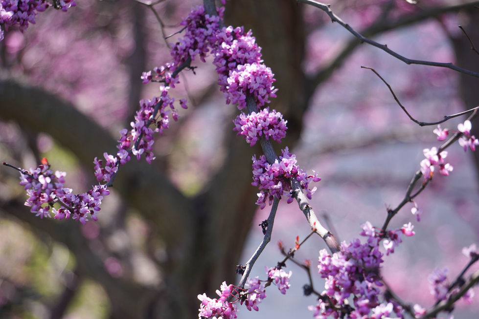 2024 Campus Spring_Apr BB-13