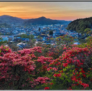 つつじ一般・入選　夕景.jpg