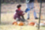 boy using a sling shot to throw a pumpkin