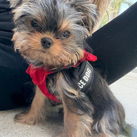 Chapter Four – July 2025: A Glimmer of Light - A Year of Trials and Triumphs – My Story