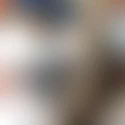 Part 3: The Strength in Adaptation - My Journey with Mast Cell Disease: Beyond the Diagnosis