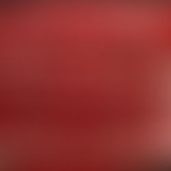 Chapter Eleven – To Be Continued - A Year of Trials and Triumphs – My Story