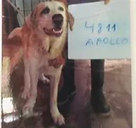 4811
